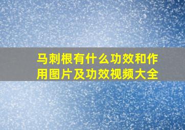 马刺根有什么功效和作用图片及功效视频大全