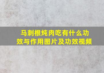 马刺根炖肉吃有什么功效与作用图片及功效视频