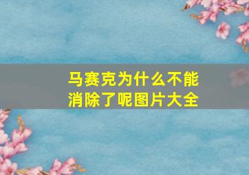 马赛克为什么不能消除了呢图片大全