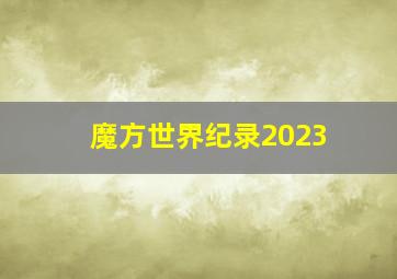 魔方世界纪录2023