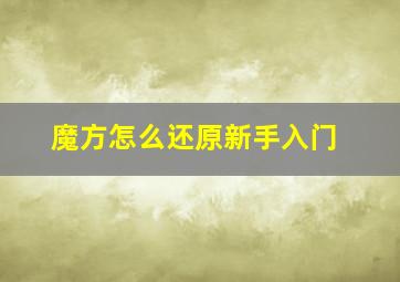 魔方怎么还原新手入门