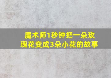 魔术师1秒钟把一朵玫瑰花变成3朵小花的故事