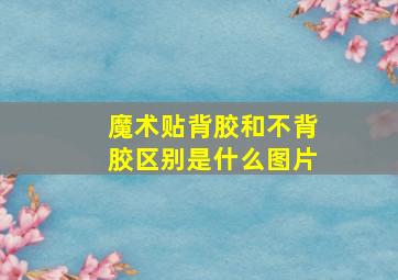 魔术贴背胶和不背胶区别是什么图片