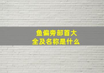 鱼偏旁部首大全及名称是什么