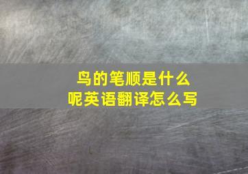 鸟的笔顺是什么呢英语翻译怎么写