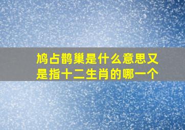 鸠占鹊巢是什么意思又是指十二生肖的哪一个