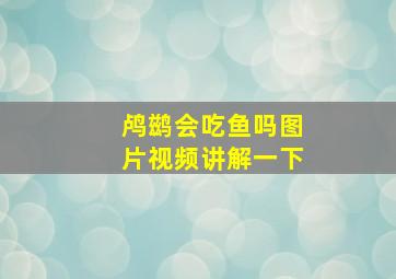 鸬鹚会吃鱼吗图片视频讲解一下