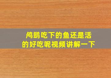 鸬鹚吃下的鱼还是活的好吃呢视频讲解一下