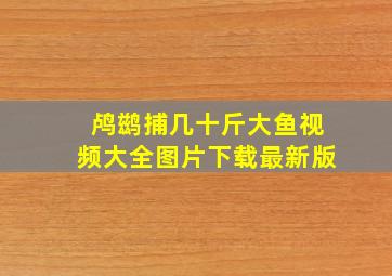 鸬鹚捕几十斤大鱼视频大全图片下载最新版