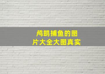 鸬鹚捕鱼的图片大全大图真实