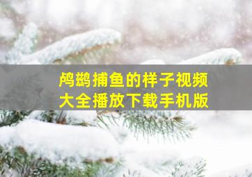 鸬鹚捕鱼的样子视频大全播放下载手机版