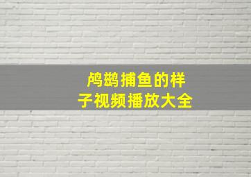 鸬鹚捕鱼的样子视频播放大全