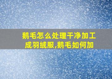 鹅毛怎么处理干净加工成羽绒服,鹅毛如何加