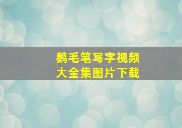 鹅毛笔写字视频大全集图片下载