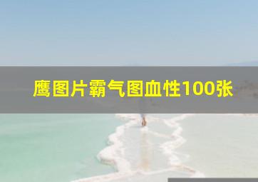 鹰图片霸气图血性100张