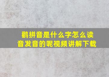 鹳拼音是什么字怎么读音发音的呢视频讲解下载