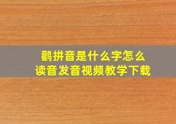 鹳拼音是什么字怎么读音发音视频教学下载