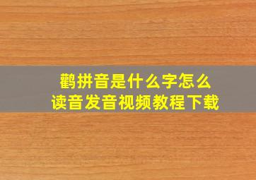 鹳拼音是什么字怎么读音发音视频教程下载