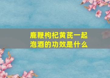 鹿鞭枸杞黄芪一起泡酒的功效是什么