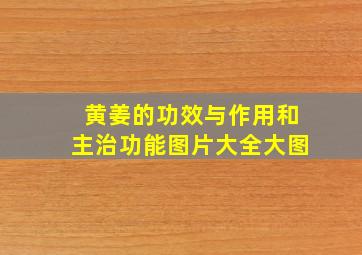 黄姜的功效与作用和主治功能图片大全大图