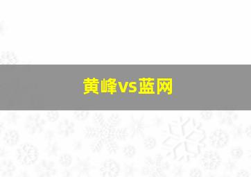 黄峰vs蓝网