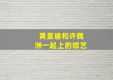 黄景瑜和许魏洲一起上的综艺