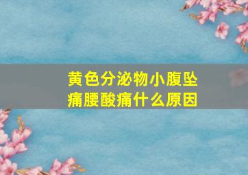 黄色分泌物小腹坠痛腰酸痛什么原因