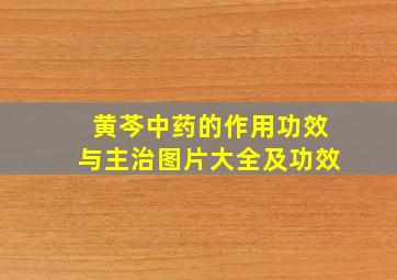 黄芩中药的作用功效与主治图片大全及功效