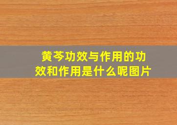 黄芩功效与作用的功效和作用是什么呢图片