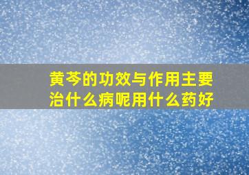 黄芩的功效与作用主要治什么病呢用什么药好