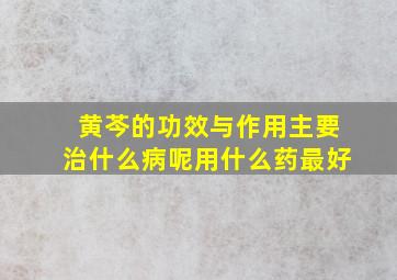 黄芩的功效与作用主要治什么病呢用什么药最好