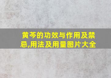 黄芩的功效与作用及禁忌,用法及用量图片大全