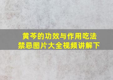 黄芩的功效与作用吃法禁忌图片大全视频讲解下