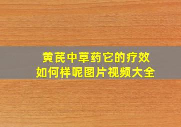 黄芪中草药它的疗效如何样呢图片视频大全