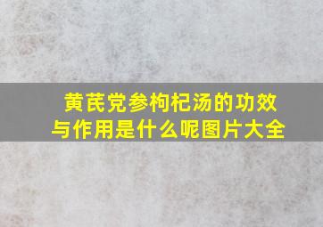 黄芪党参枸杞汤的功效与作用是什么呢图片大全