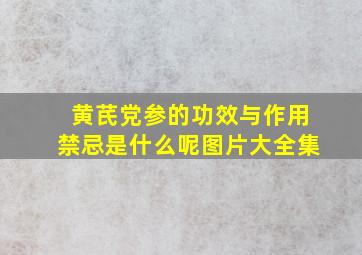 黄芪党参的功效与作用禁忌是什么呢图片大全集