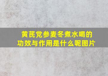 黄芪党参麦冬煮水喝的功效与作用是什么呢图片