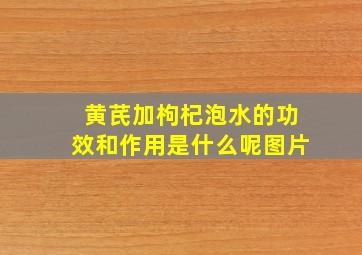 黄芪加枸杞泡水的功效和作用是什么呢图片