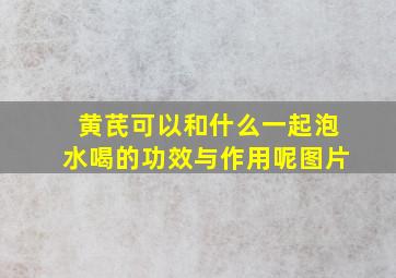 黄芪可以和什么一起泡水喝的功效与作用呢图片