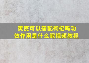 黄芪可以搭配枸杞吗功效作用是什么呢视频教程