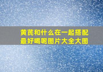 黄芪和什么在一起搭配最好喝呢图片大全大图