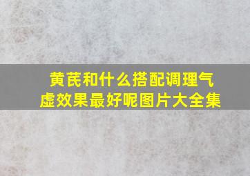 黄芪和什么搭配调理气虚效果最好呢图片大全集