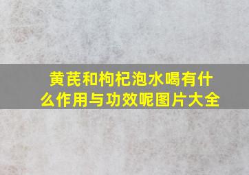 黄芪和枸杞泡水喝有什么作用与功效呢图片大全