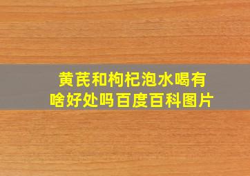 黄芪和枸杞泡水喝有啥好处吗百度百科图片