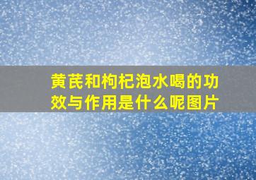 黄芪和枸杞泡水喝的功效与作用是什么呢图片