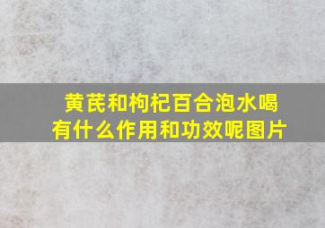 黄芪和枸杞百合泡水喝有什么作用和功效呢图片