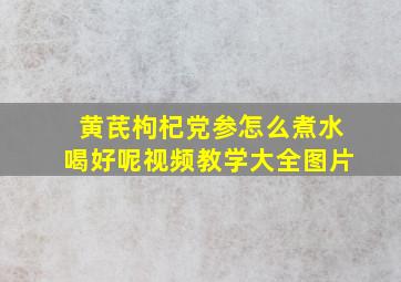 黄芪枸杞党参怎么煮水喝好呢视频教学大全图片