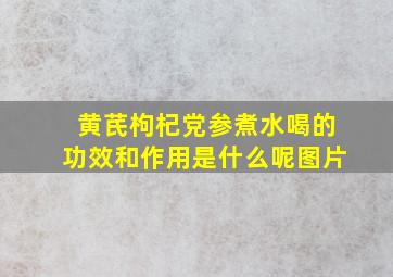 黄芪枸杞党参煮水喝的功效和作用是什么呢图片