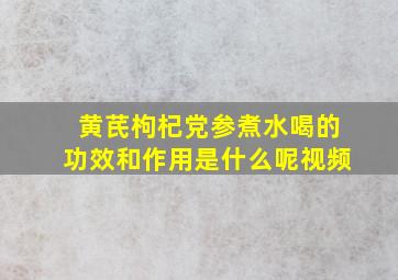 黄芪枸杞党参煮水喝的功效和作用是什么呢视频