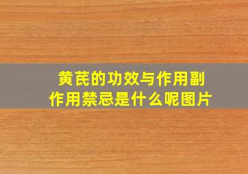 黄芪的功效与作用副作用禁忌是什么呢图片